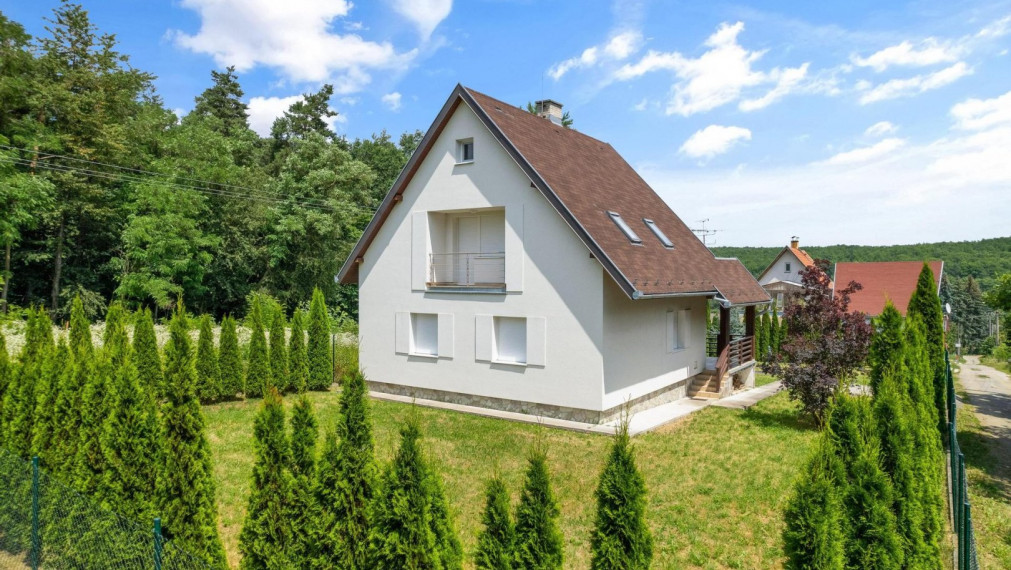 Pěkná rodinná chalupa v obci Nemečky pro Duchonke