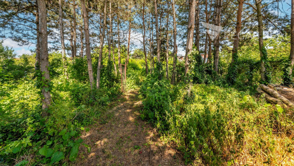 Rodinný dom s bazénom a veľkým pozemkom