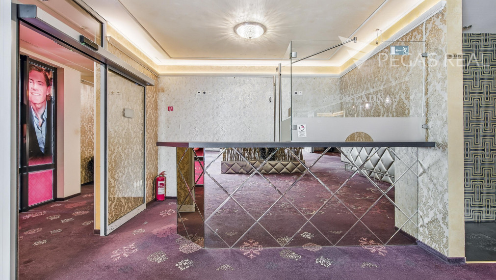 Priestor na prenájom so širokými možnosťami využitia - Trnavská cesta, BA