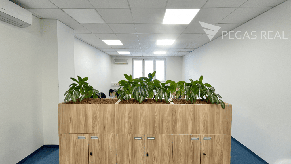 Kancelárske priestory v centre Bratislavy na Mýtnej  – 211m2 kancelárske priestory + 62m2 terasa