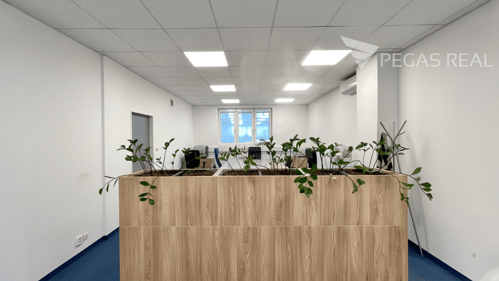 Kancelárske priestory v centre Bratislavy na Mýtnej  – 211m2 kancelárske priestory + 62m2 terasa