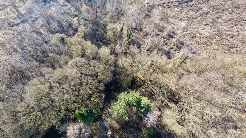 Pozemok na samote. Ratnovce, Banka pri Piešťanoch, 5402m2