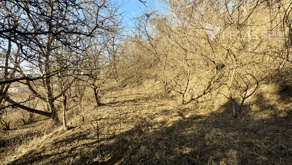 Pozemok na samote. Ratnovce, Banka pri Piešťanoch, 5402m2