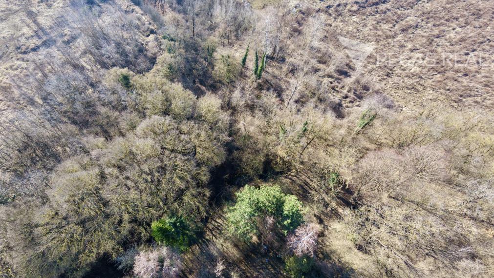 Pozemok na samote. Ratnovce, Banka pri Piešťanoch, 5402m2